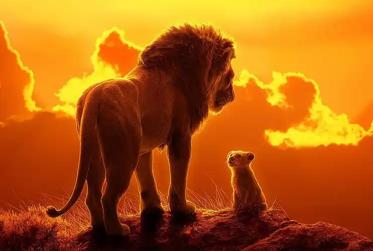 从动画电影到真狮电影狮子王经历了怎样的神奇转变