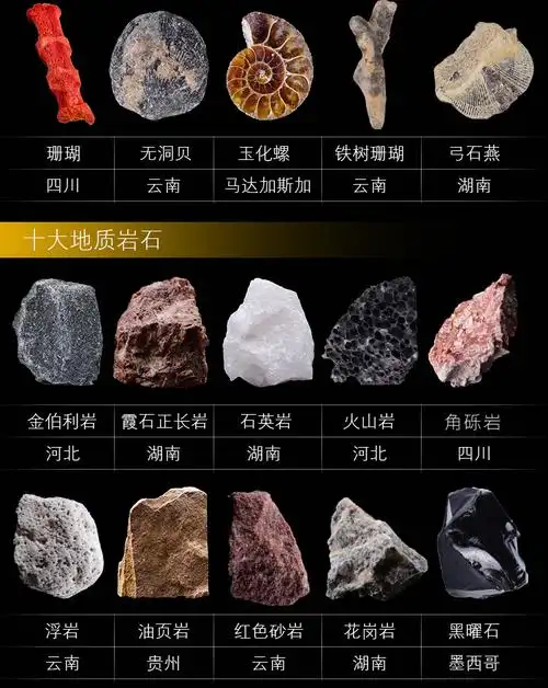 领跃腾信岩石标本30种矿物化石岩石套装天然水晶玛瑙宝石石头奇石矿石