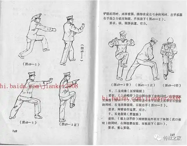 十大禁拳排名(中国军队明令禁止的拳术:黑龙十八手