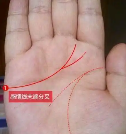 感情线末端代表婚姻手相出现凤尾纹婚后财福兼收坐等享清福