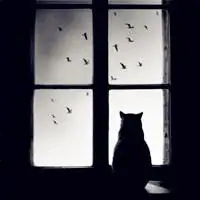 可爱喵酱背影头像 我是一只看家的萌猫咪