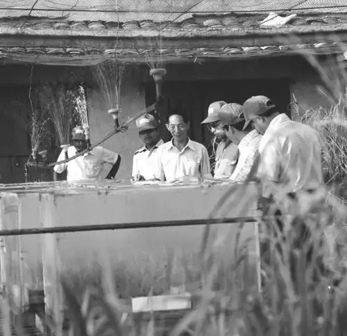 袁隆平的这些老照片,看着看着就哭了