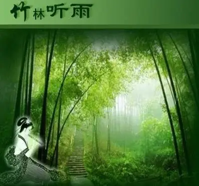 竹林听雨【原创】