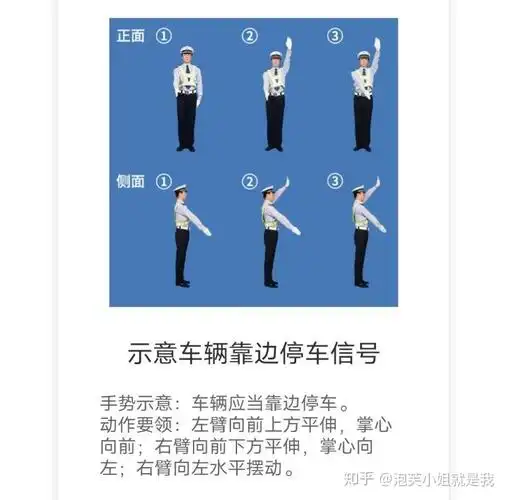 我的驾考之路74交警指挥手势