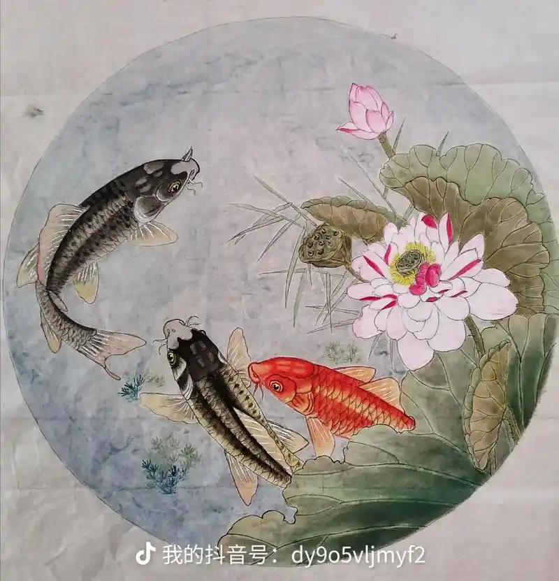 荷花鲤鱼,工笔画 - 抖音