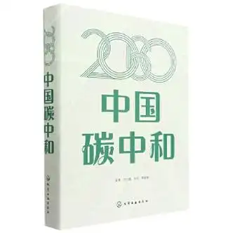 2060中国碳中和(精)