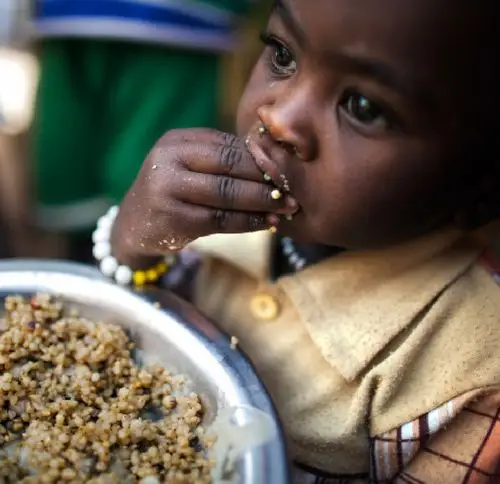 可持续发展目标系列解读之二零饥饿附中国案例