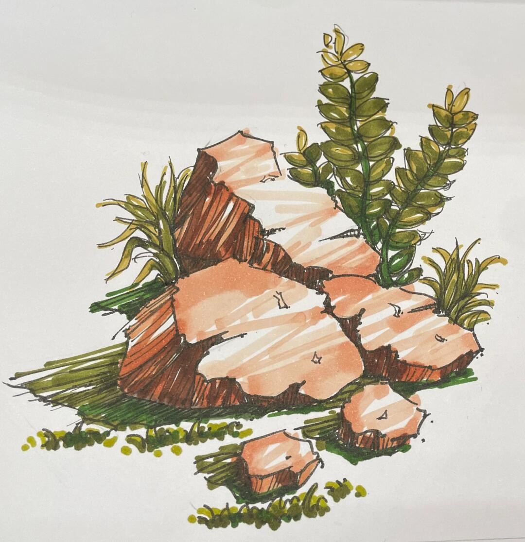 记录第一次马克笔单体手绘