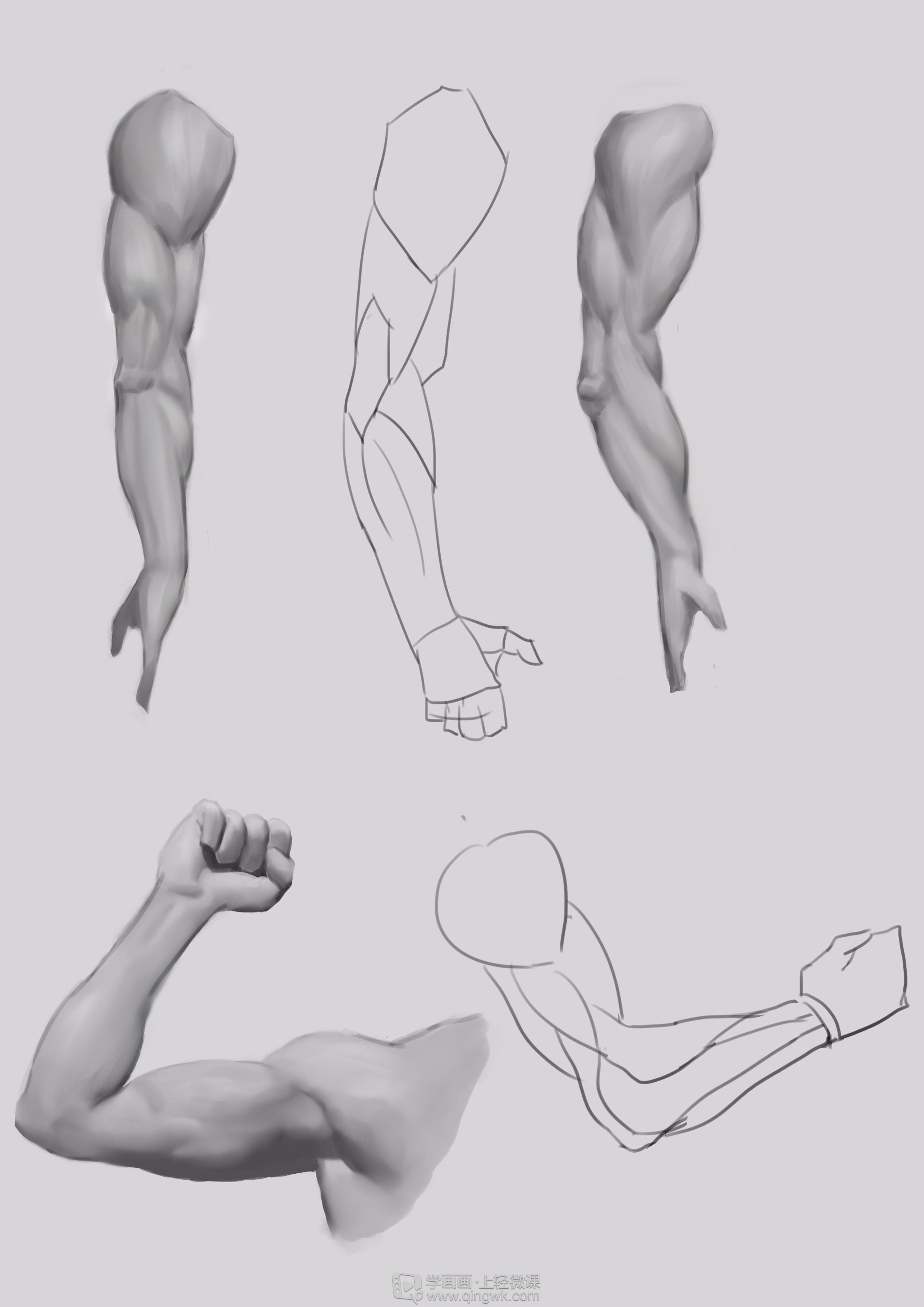 作业:手臂肌肉练习——动漫人体结构画法 - 独白 - 轻微课