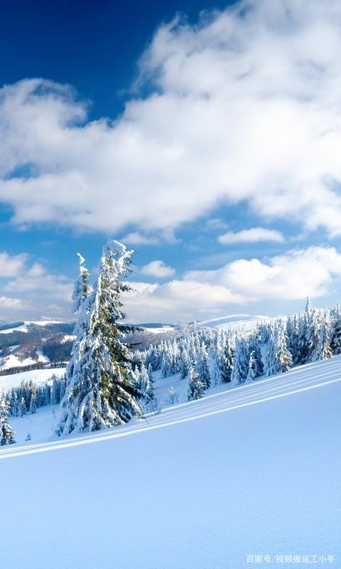 3d 高清 竖屏 手机壁纸