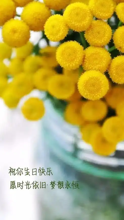 您的位置>搞笑大小王>生日短信>文章内容 时间:2020-08-10 15:39来源