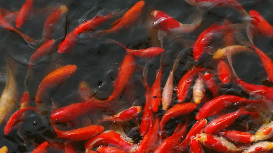 896_504gif 动态图 动图