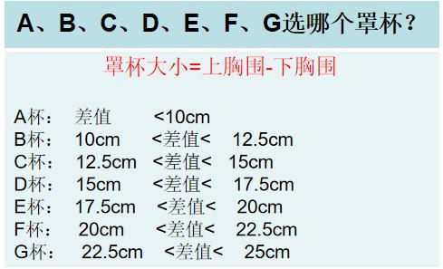 女性罩杯尺码对照表