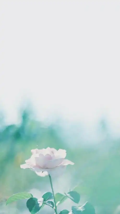 唯美小清新自然风光