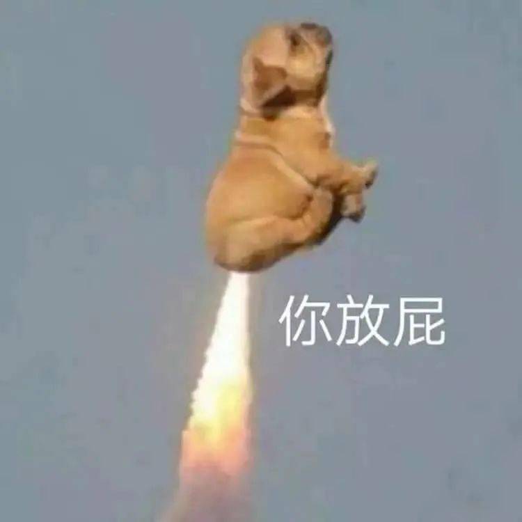 搞笑沙雕表情包i我非常以及特别的愤怒