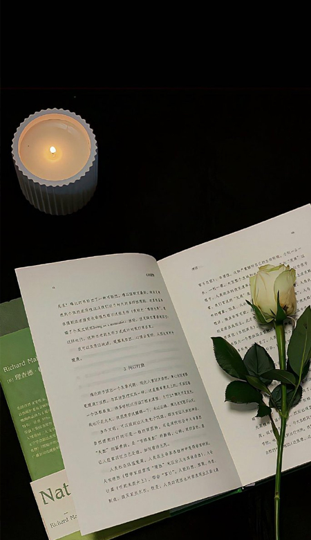 冷淡风ins暗色系锁屏壁纸超气质的壁纸心情愉悦