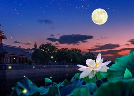 诗人眼中的月光有多皎洁?