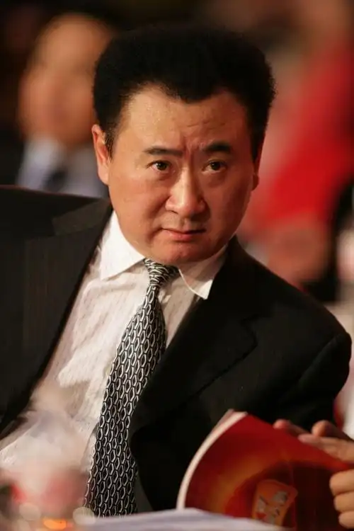 中国的富豪们 - 凌子 - 我已习惯了,我只是个过客