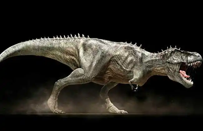 霸王龙的资料和图片