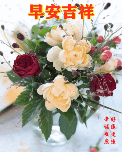 早安吉祥 幸福安康 好运连连