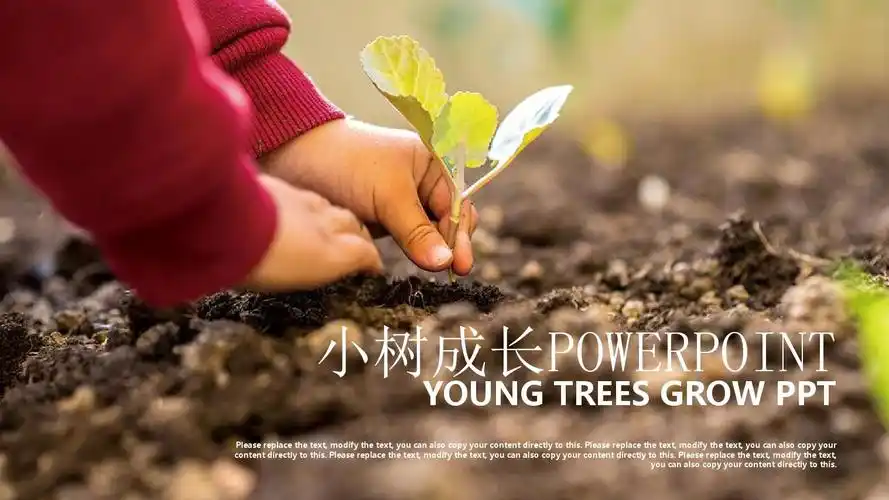 小树成长 读书学习教育ppt模版