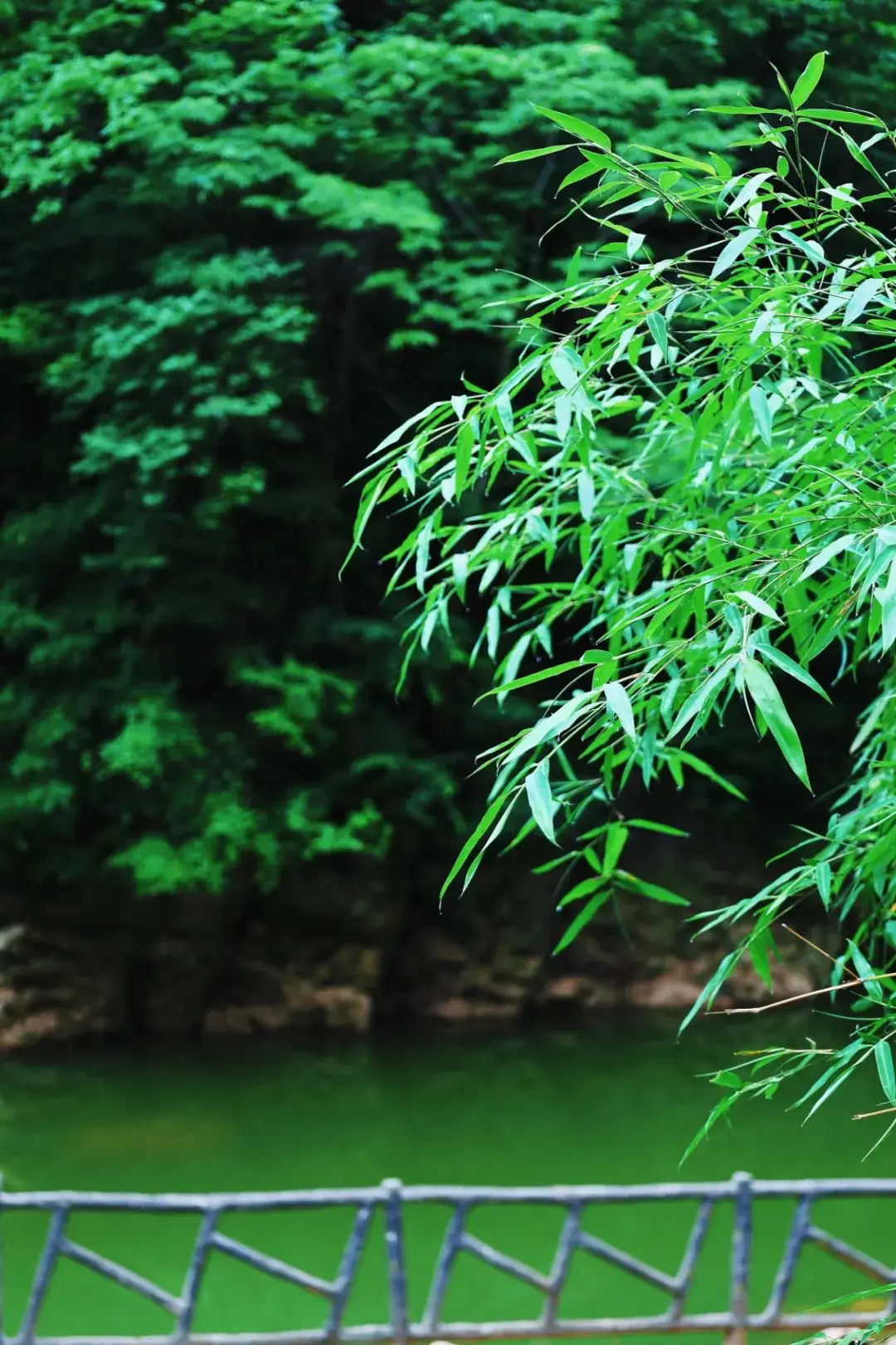 免费接送,免费午餐,免费游园!十堰上新一家景区,快冲