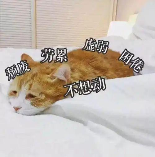 感觉自己真的废了 ,除了健身游泳其他的完全不能坚持,也不想与人多