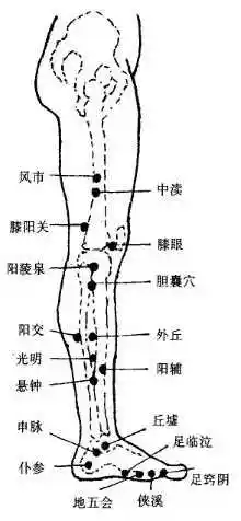 下肢外侧常用穴位位置和主治疾病
