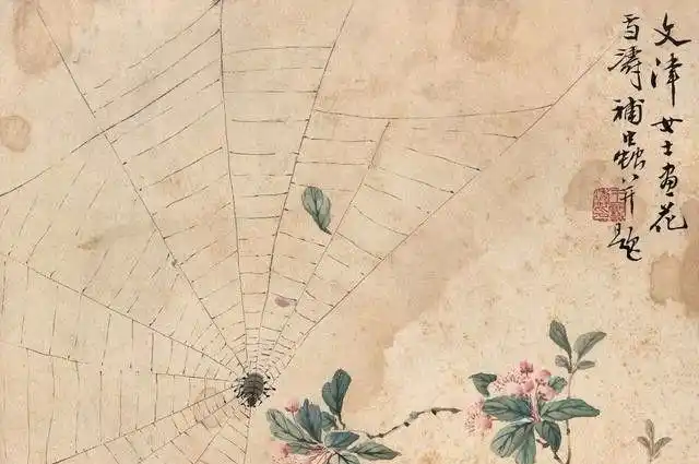 其它 国画题材,寓意这么多 写美篇又称喜珠 蜘蛛挂丝从天垂落 意为喜