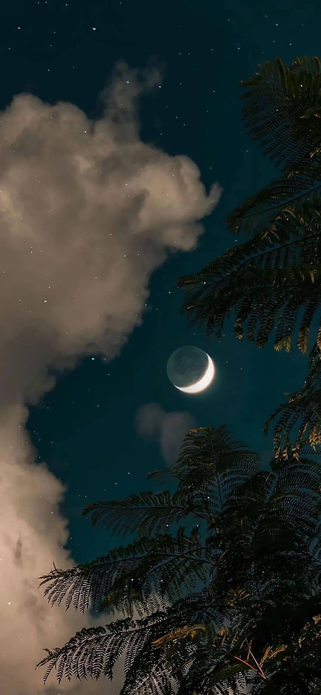 星空的微信聊天壁纸