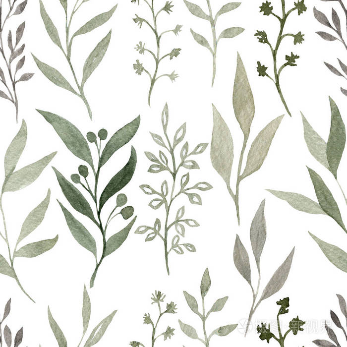 水彩无缝图案与植物元素. 手绘水彩纹理.
