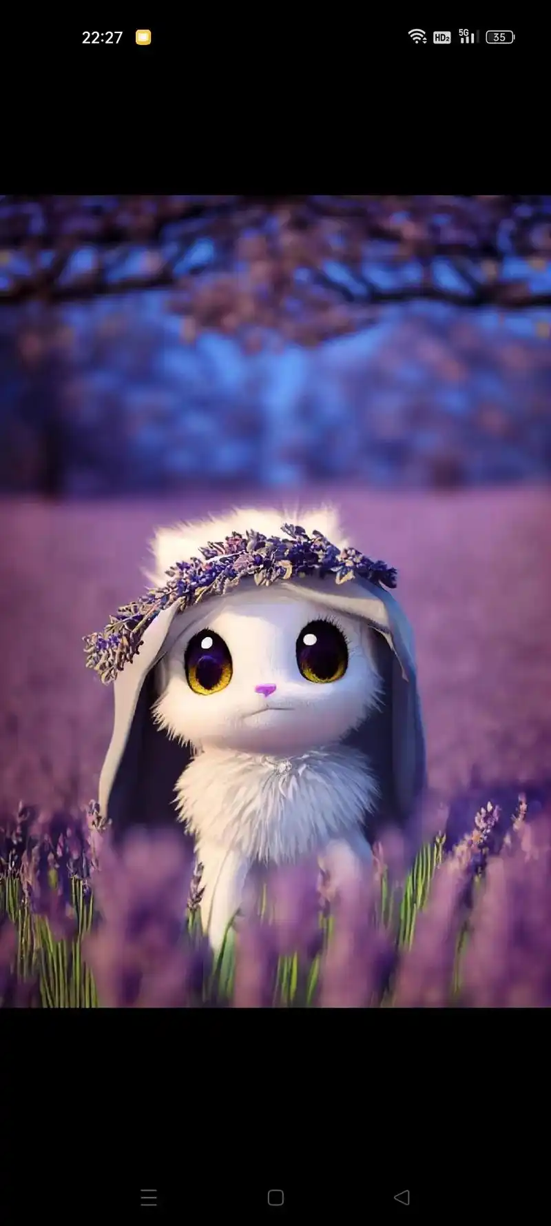 呆萌宠物兔#萌宠日常记录#萌宠成精了#可爱的宠物兔图片大全 - 抖音