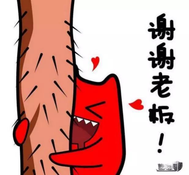 老板,你对我真好!|聊聊车