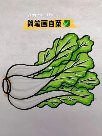 大白菜简笔画 大白菜简笔画怎么画