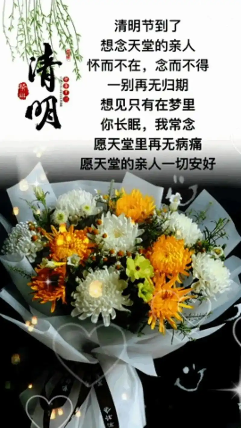 清明节既将到来,更加想念 天堂的老公989898往年你开车带 - 抖