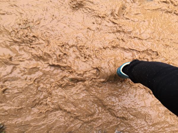 从车子里钻出来 走山路上山 每年长途跋涉完脚都是抖的 裤子都是泥的