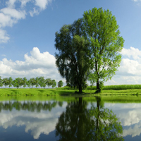 适合永久做头像的图片山水头像