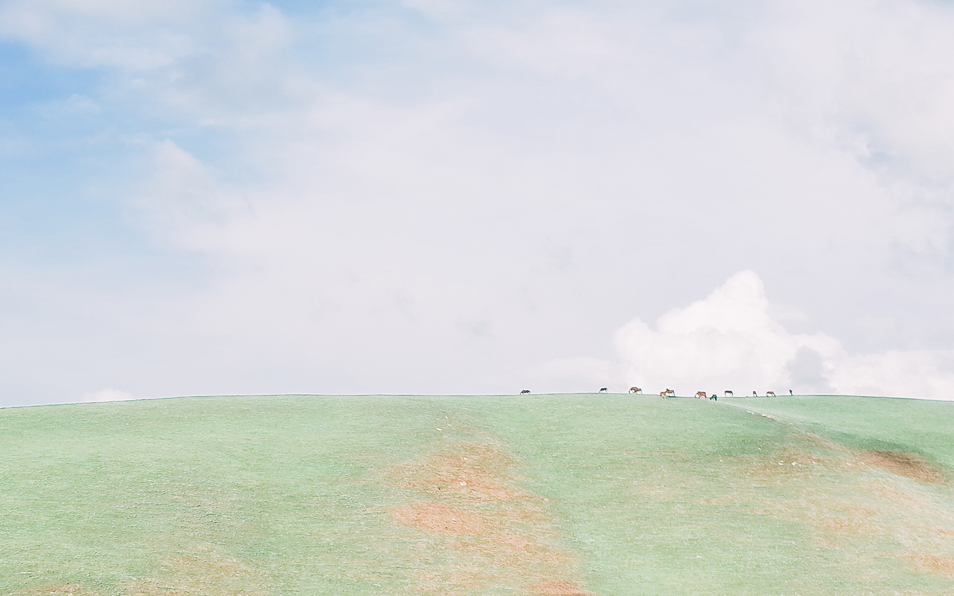 小清新草原简约唯美高清桌面壁纸