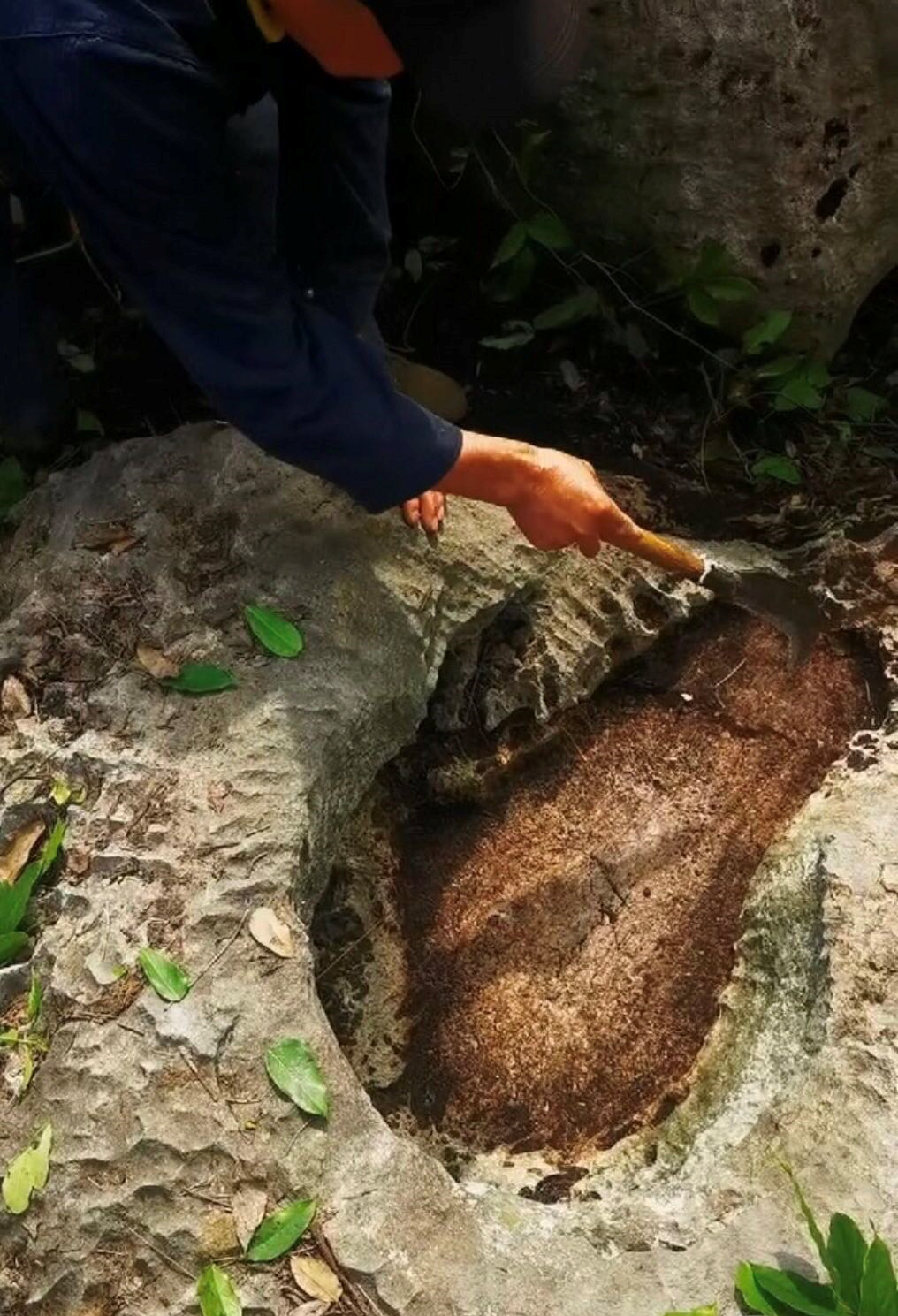 邀请池州学院地理与规划学院专家教授赴齐山对"大脚印"进行实地考证