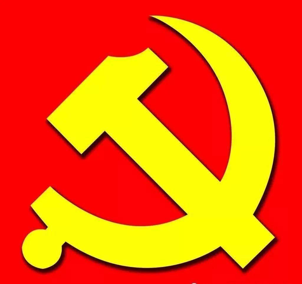 学党史践行动杜桥实验中学抗台一线飘起党员先锋旗