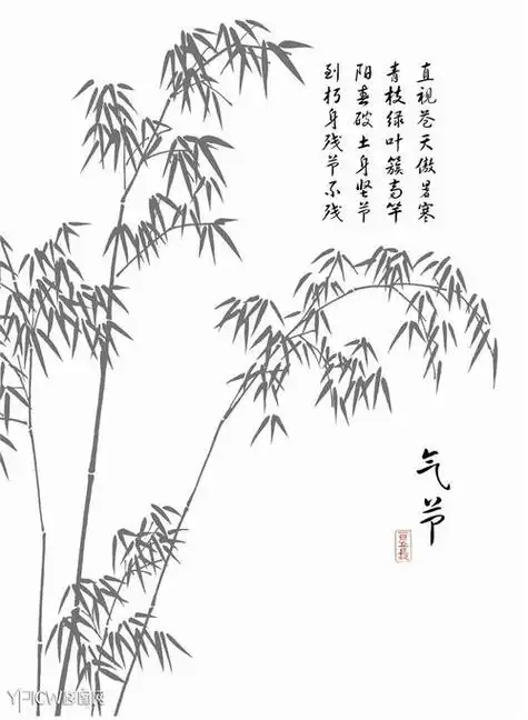 竹子的简笔画竹子的简笔画简单又好看