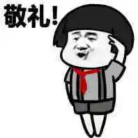 敬礼表情包 - 表情图