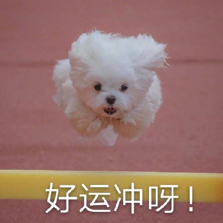 好运冲呀!_好运表情