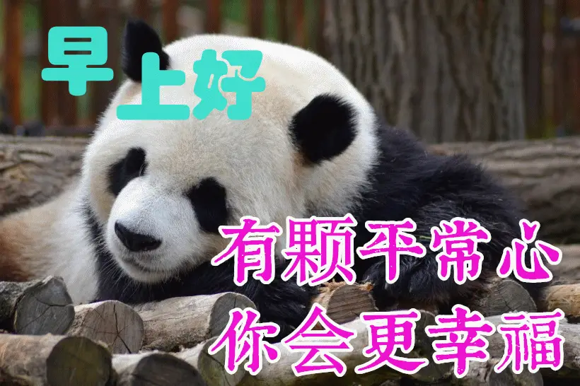 820_546gif 动态图 动图