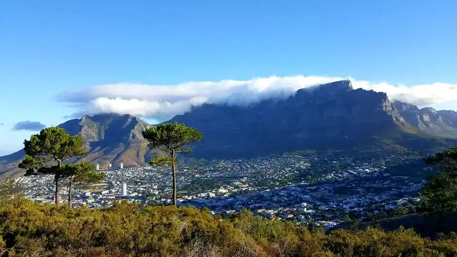 我和老公南非游中篇