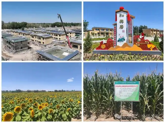 走进西坝镇古城乡中东镇金塔镇羊井子湾乡