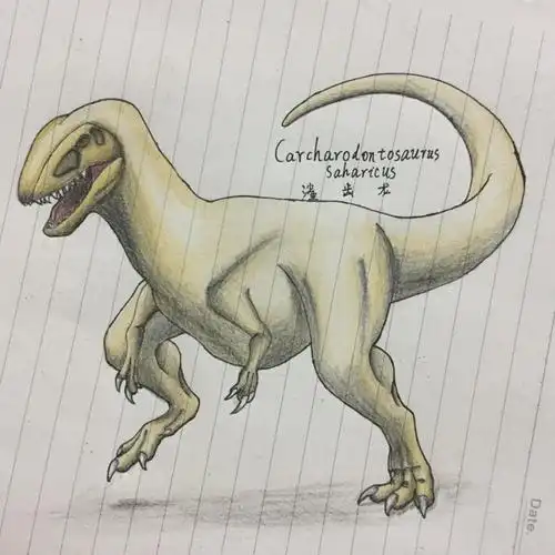 鲨齿龙,有骨骼复原图参考