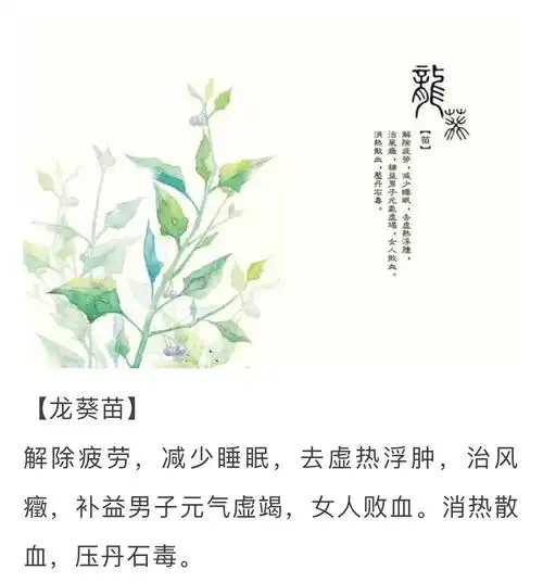东方明珠的美篇