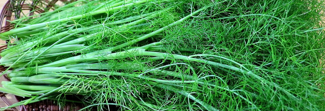 农村的五香是指什么植物?