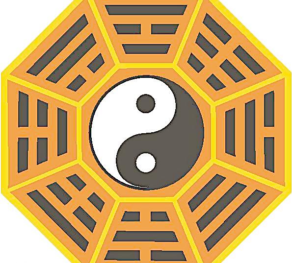 什么生肖会谋朝篡位猜_权篡位是_上运阁